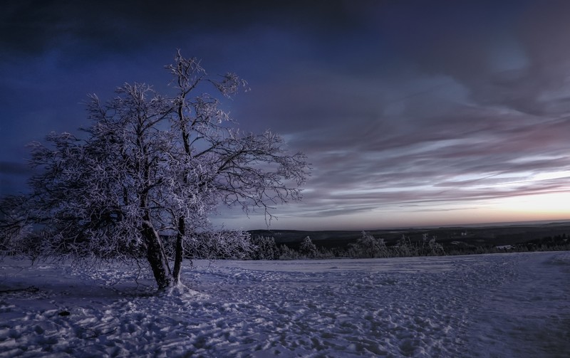 winter, snow, sky, trees, nature, landscape