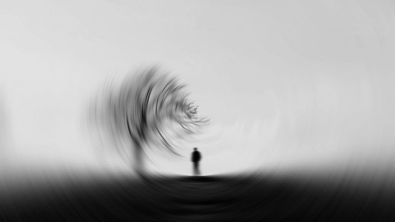silhouette, bw, tree, blur, effect, 4k