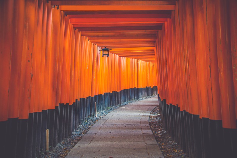 hallway, blue, orange, wall, architecture, bright, Asian architecture, Japan, outdoors, path, pathway