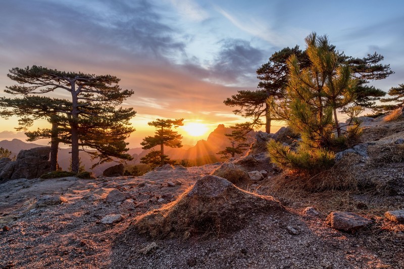 nature, sky, landscape, trees, sunlight