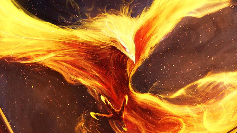 phoenix, digital art, fantasy art, creature