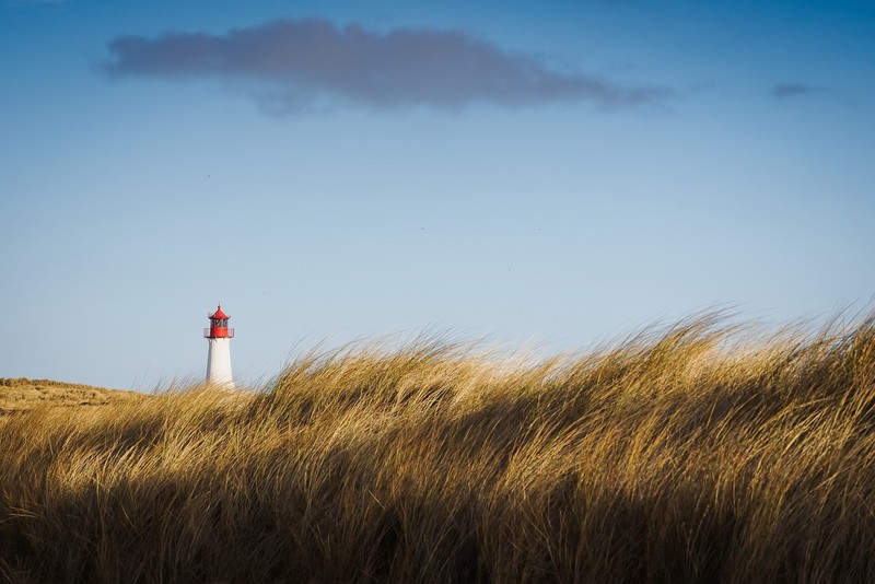 sky, blue, grass, lighthouse, wind, windy