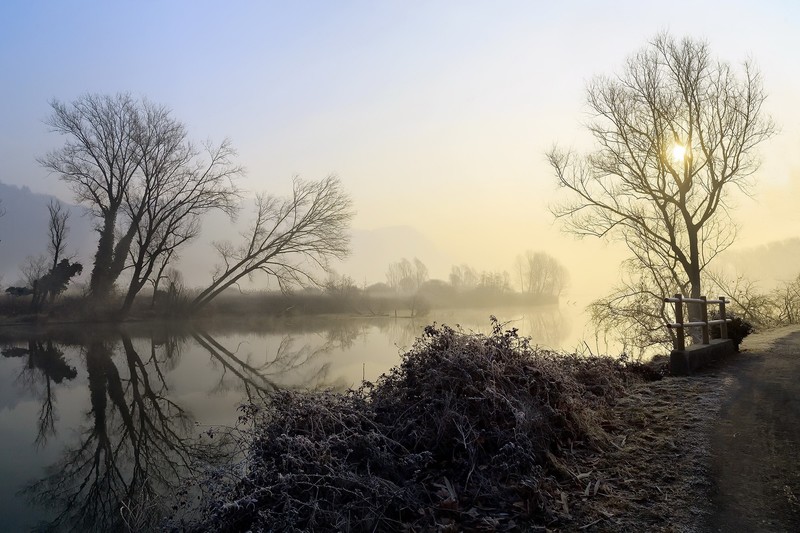 nature, landscape, water, trees, winter