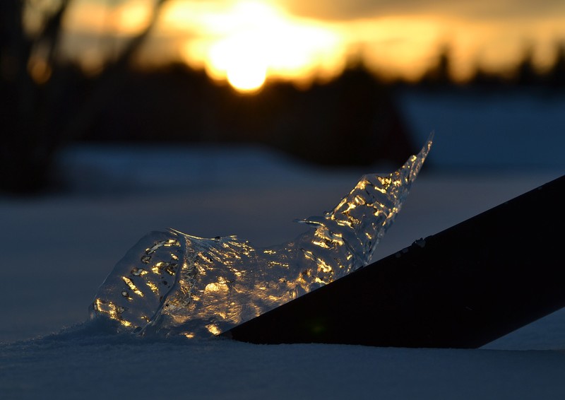 nature, landscape, winter, snow, ice, sunset, depth of field, photography, evening