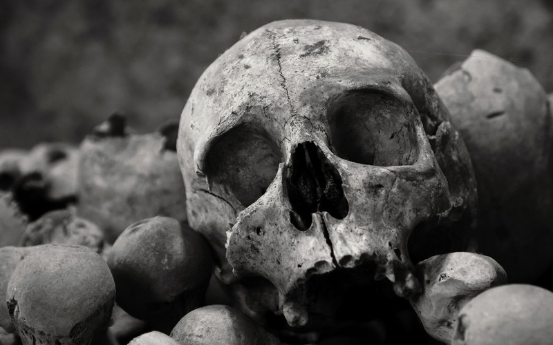 bones, skull, monochrome, dark