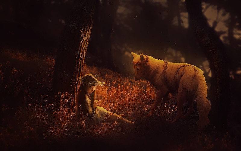 forest, depth of field, wolf, children, animals, tree bark, nature