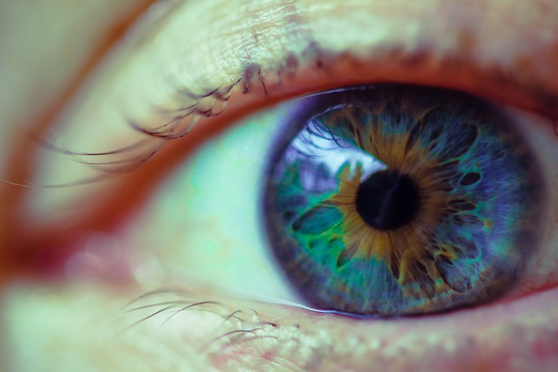 eyes, blue eyes, closeup, macro