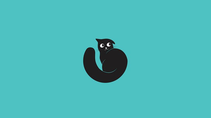 cat, art, vector, minimalism, 4k