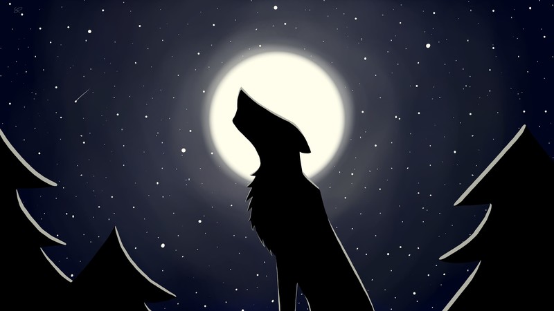 Moon, wolf, night, stars