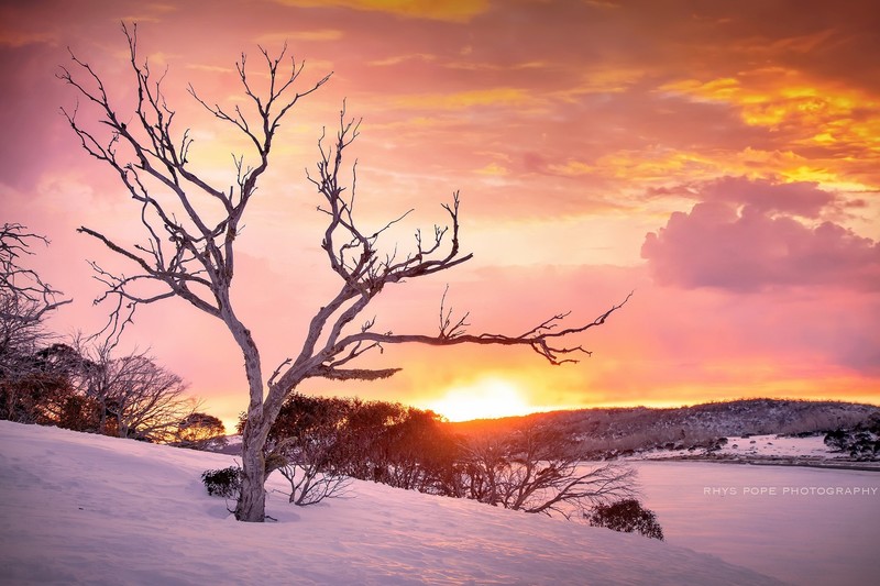 sky, sunlight, winter, nature, snow, colorful, landscape, orange, pink, sunset, clouds, trees