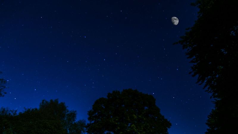 night, stars, moon, trees, dark, moonlight, 4k