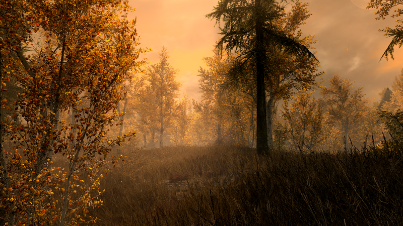The Elder Scrolls V: Skyrim, forest, fall, orange, peaceful