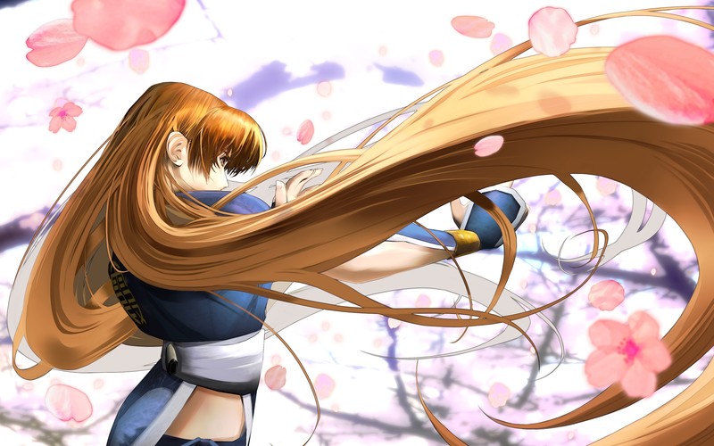 doa, ninjas, cherry blossom, Dead or Alive