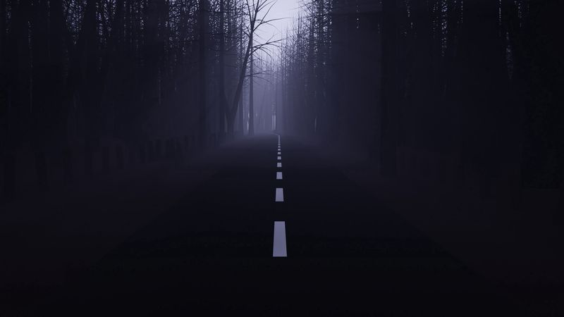 road, forest, fog, mist, trees, dark, 4k