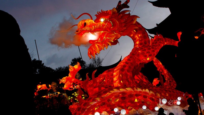 photography, Chinese, chinese dragon, festivals, dragon, Fire dragon