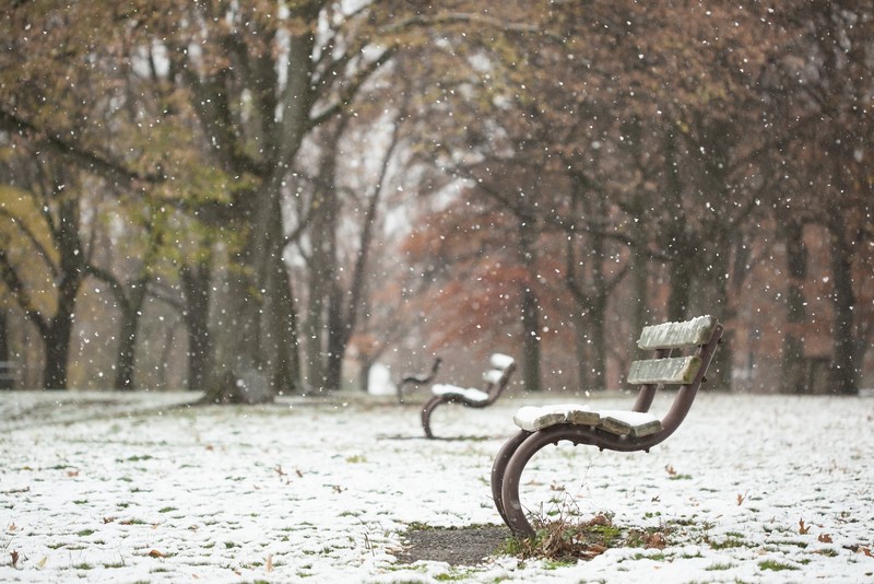 park, trees, bench, winter, snowing, snow