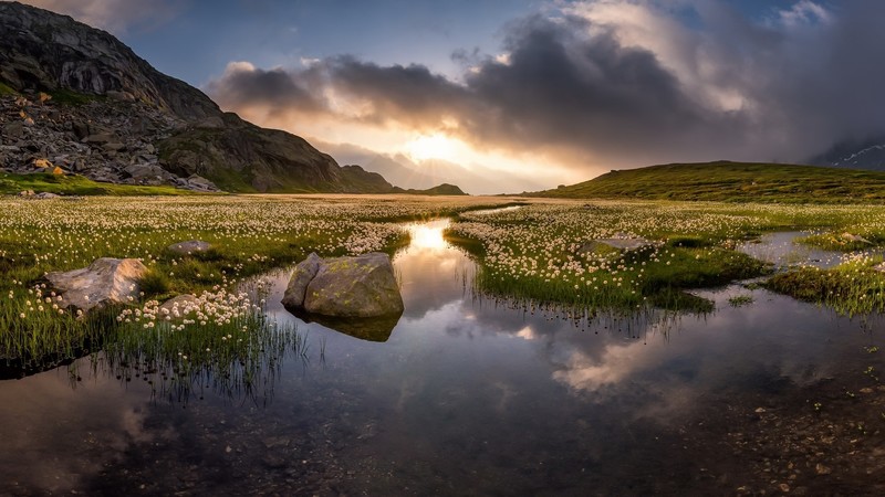 landscape, lake, nature, sky, flowers, water, reflection