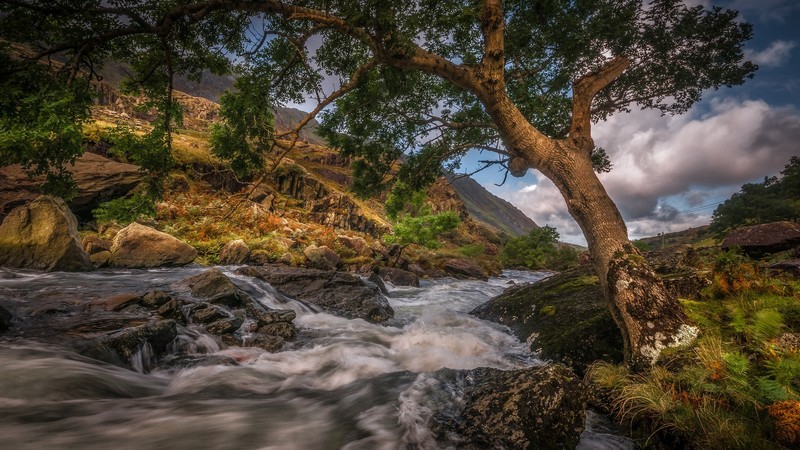 river, nature, landscape, trees, hills