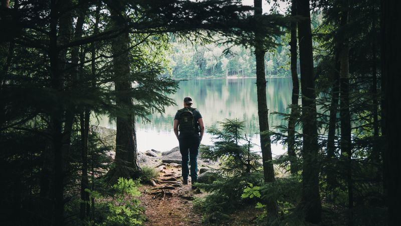 forest, lake, man, tourist, trees, nature, 4k