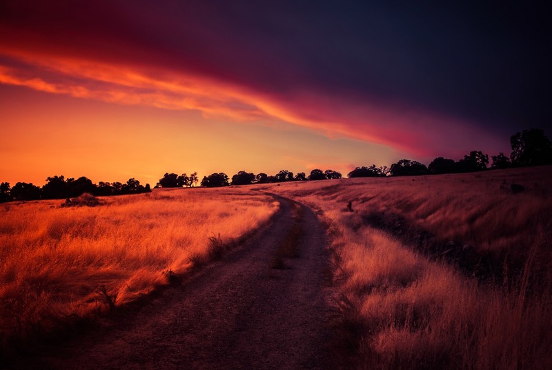 sunlight, dark, nature, sky, landscape