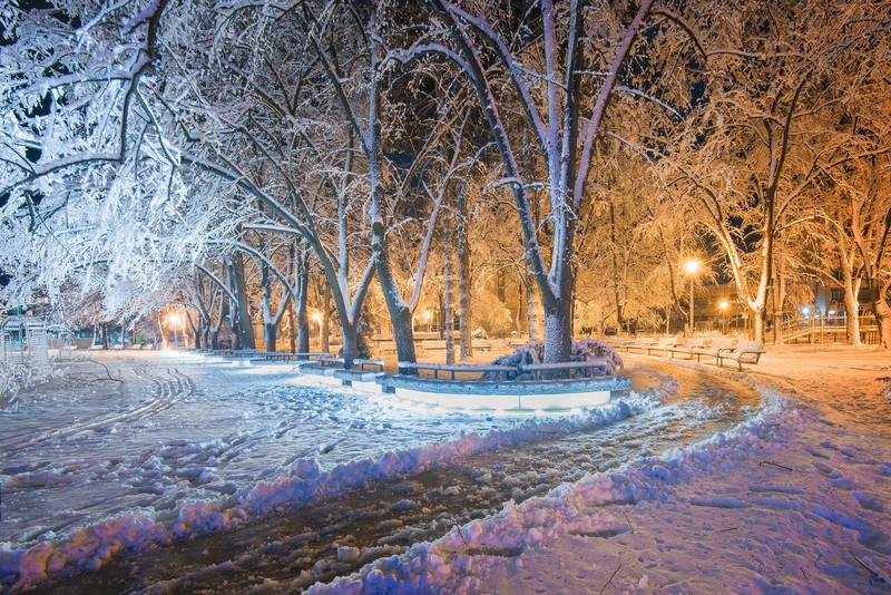 night, snow, park, lights, winter