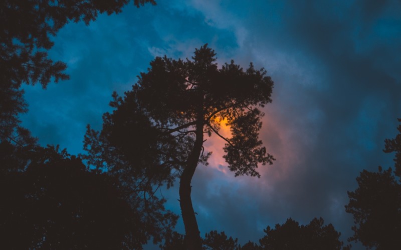 nature, landscape, photography, clouds, trees, silhouette, sunset, evening, night, blue