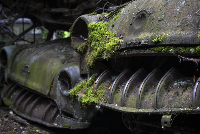 car, moss, vehicle, rust, wreck