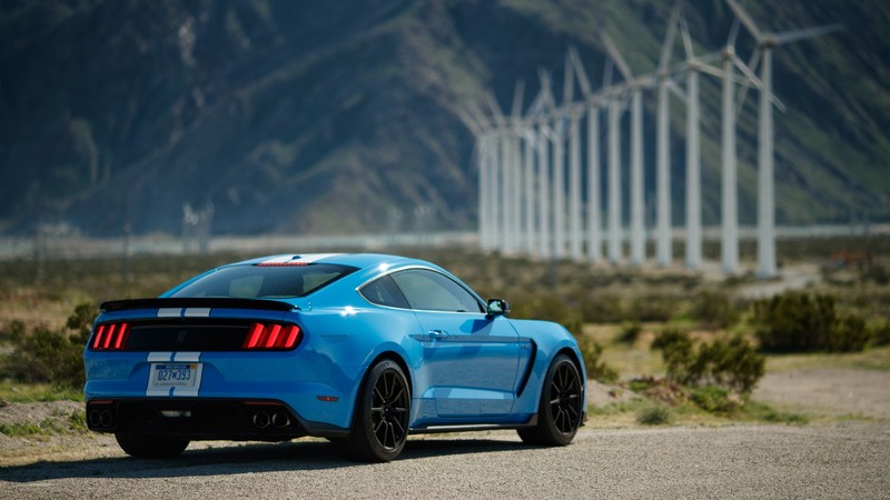 car, Mustang gt350r, blue cars, vehicle, outdoors, numbers