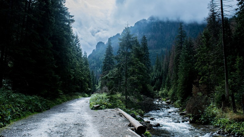 mountains, Tatra Mountains, landscape, forest, river, road