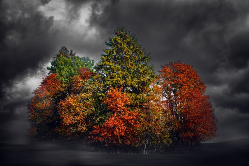fall, colorful, dark, sky, trees, clouds