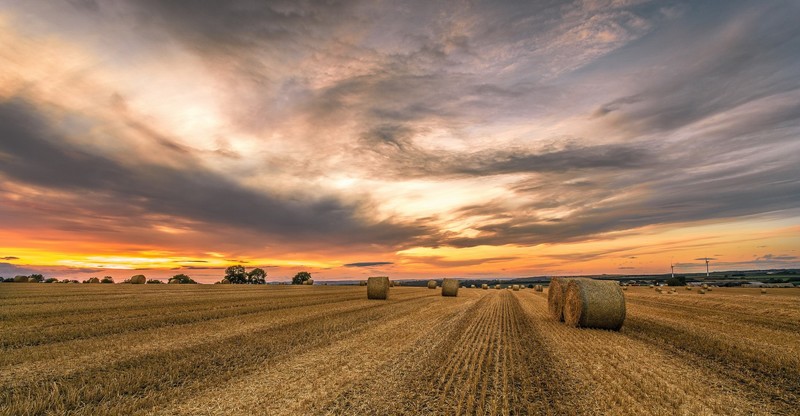 field, landscape, sky, sunlight, clouds