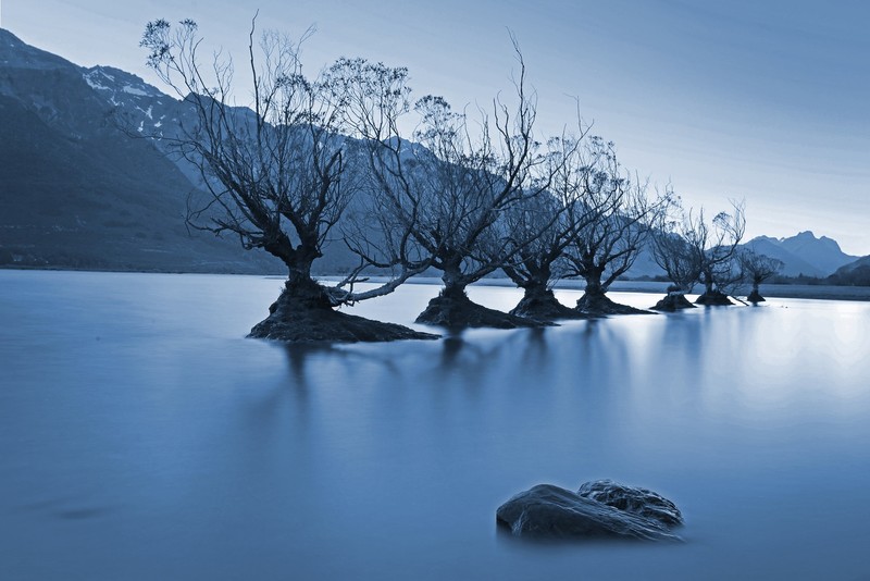 dark, water, mountains, trees, nature, long exposure