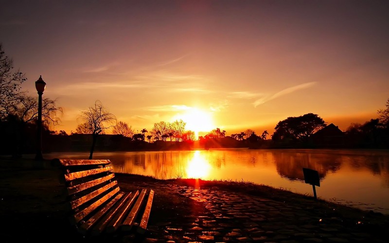bench, dark, sunlight, outdoors