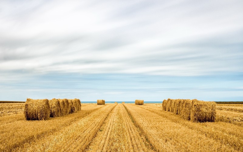 landscape, field, sky, stubble field, hay bales