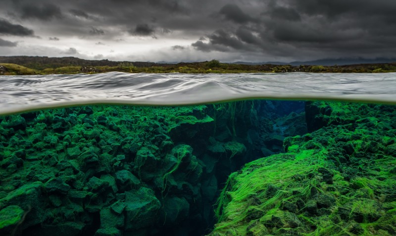 sea, underwater, nature, water, green, waves, overcast