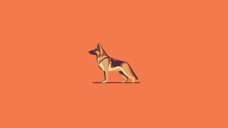 dog, illustration, orange background