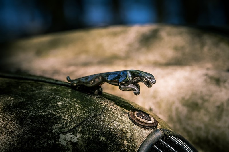 Jaguar, old, car, macro, vehicle