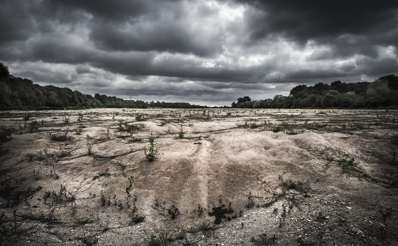 dark, sky, clouds, nature, plants, landscape