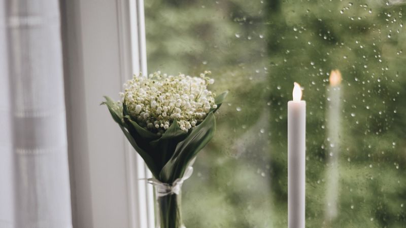 candle, window, bouquet, rain, books, plaid, cup, 4k