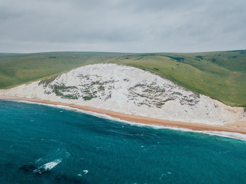 nature, water, beach, trees