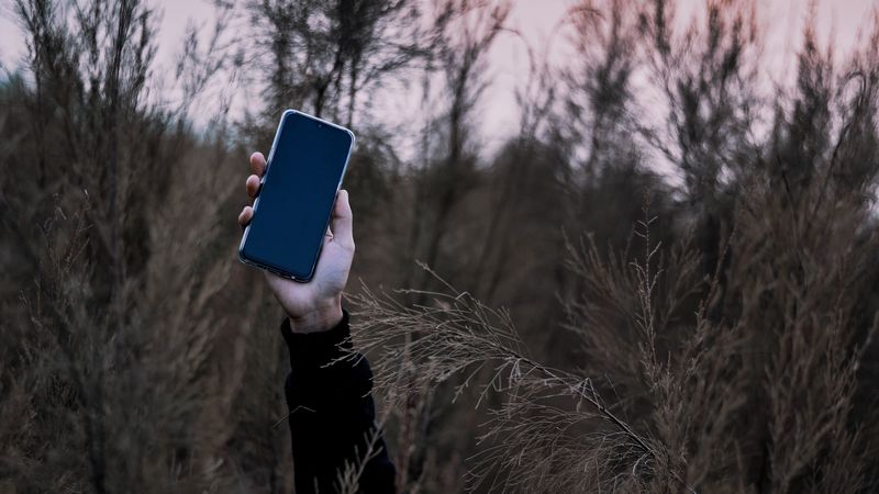 smartphone, hand, grass, phone, 4k