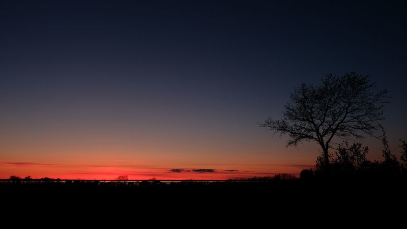 sunset, horizon, tree, sky, night, 4k
