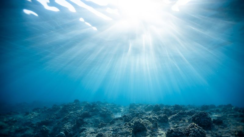 underwater world, ocean, corals, light, 4k
