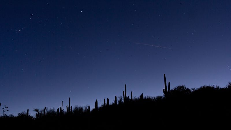 cacti, slope, night, silhouettes, starry sky, 4k