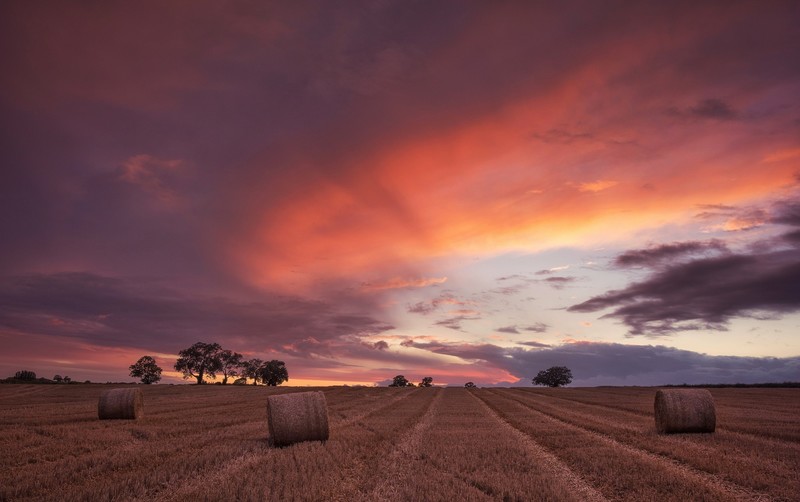 sky, sunlight, field, clouds, landscape, hay bales, stubble field, dusk, calm
