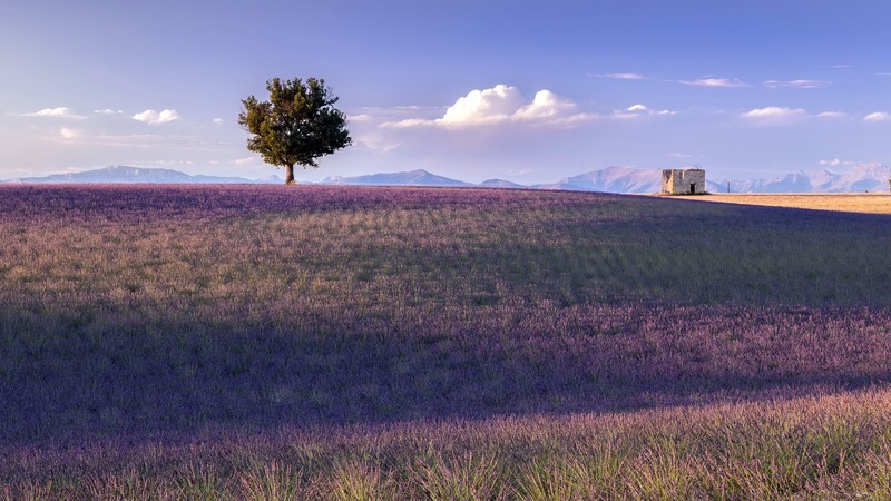 France, Provence, landscape, nature