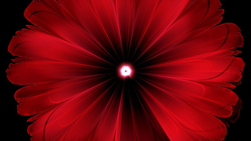 flower, red, glow, fractal, digital, abstraction, 4k