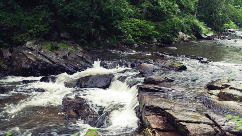 nature, outdoors, water, river