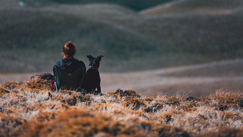 girl, dog, friends, mountains, trip, 4k