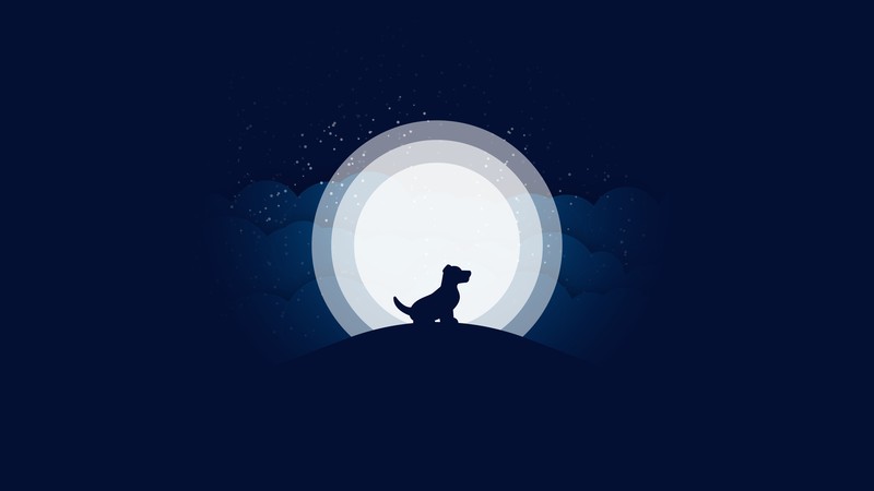 dog, night, Moon